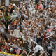 Fans at the New York parade celebrate the US women’s national team following its World Cup victory.